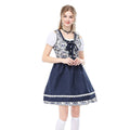 Bavarian Folk Dress costume worn by a girl - front view